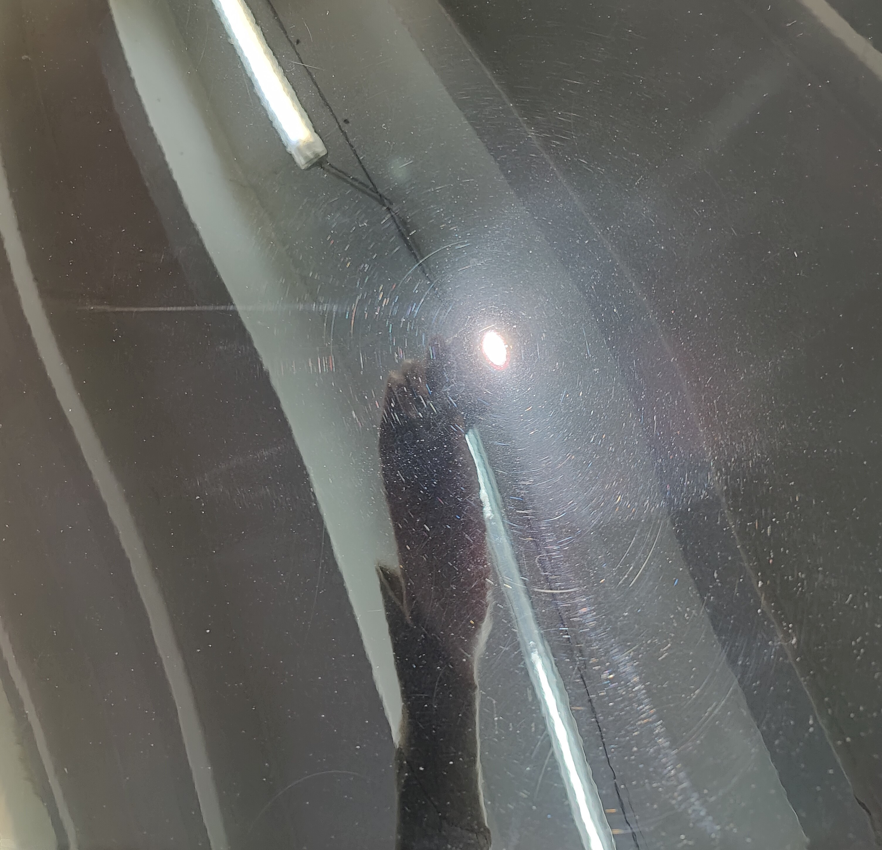 tesla model 3 lackschutzfolie und keramikversiegelung